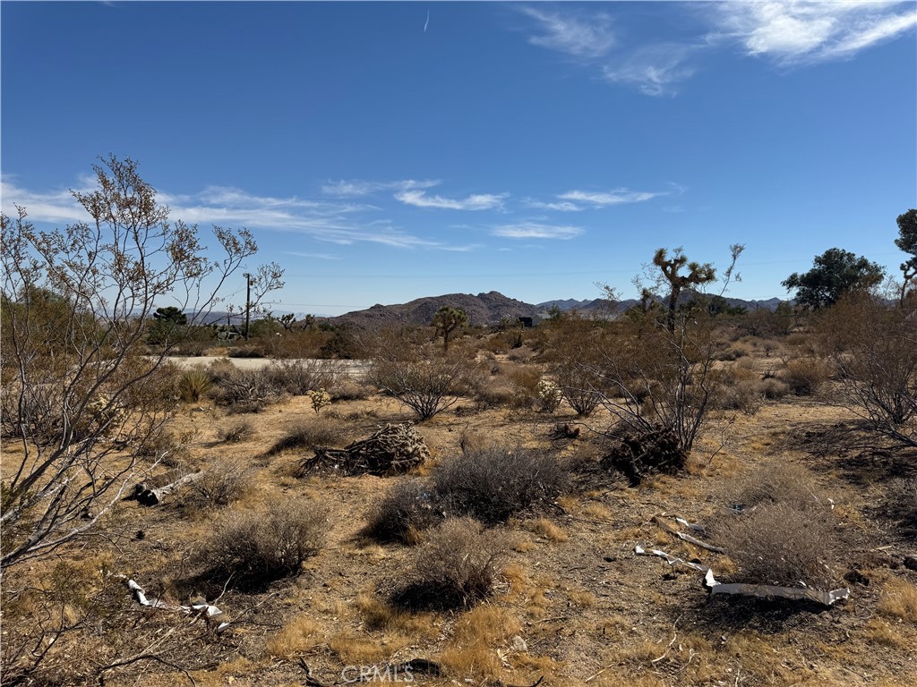 7217 Sunny Vista Road Joshua Tree, CA 92252 - Photo 4 of 5