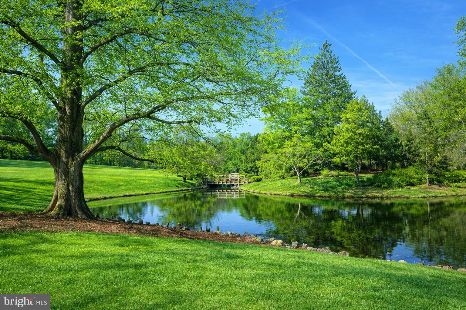 14216 Alderton Road Silver Spring, MD 20906 - Photo 14 of 14 a view of a lake with a yard and large trees