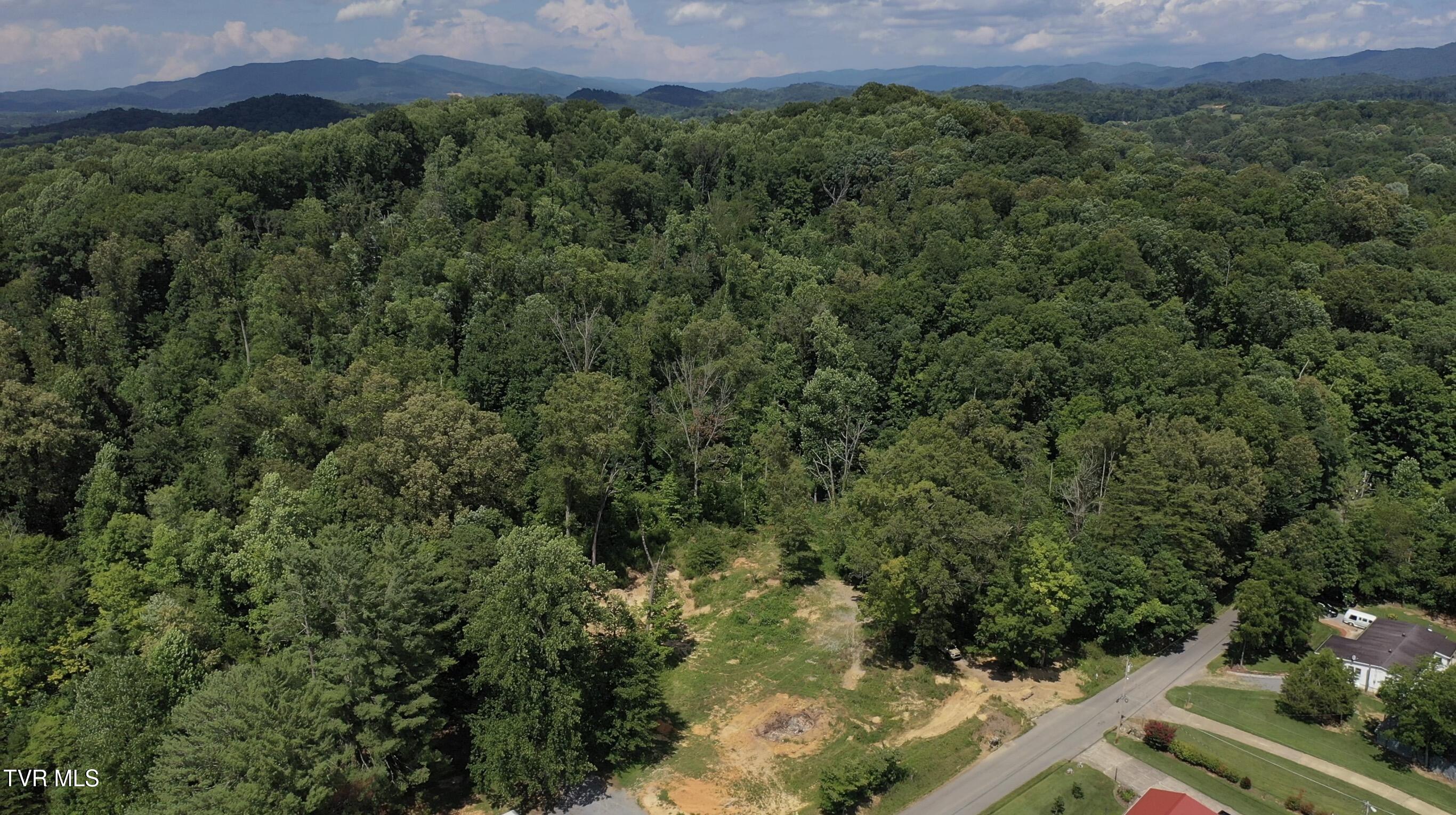 12-ac Max Jett Road Johnson City, TN 37601 - Photo 5 of 27 _Pic5 (5)