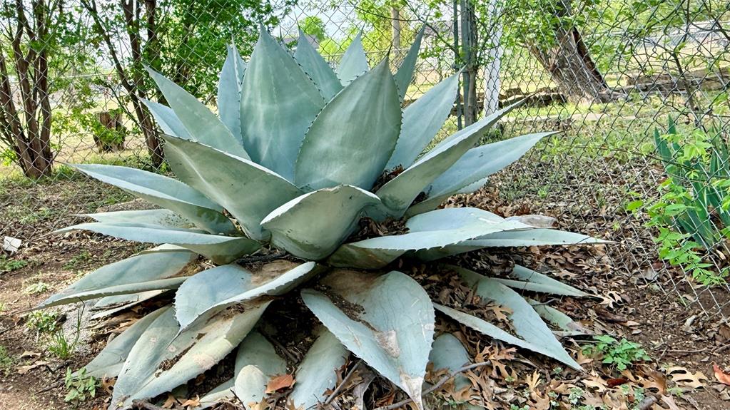 1122 4th Street Graham, TX 76450 - Photo 26 of 34