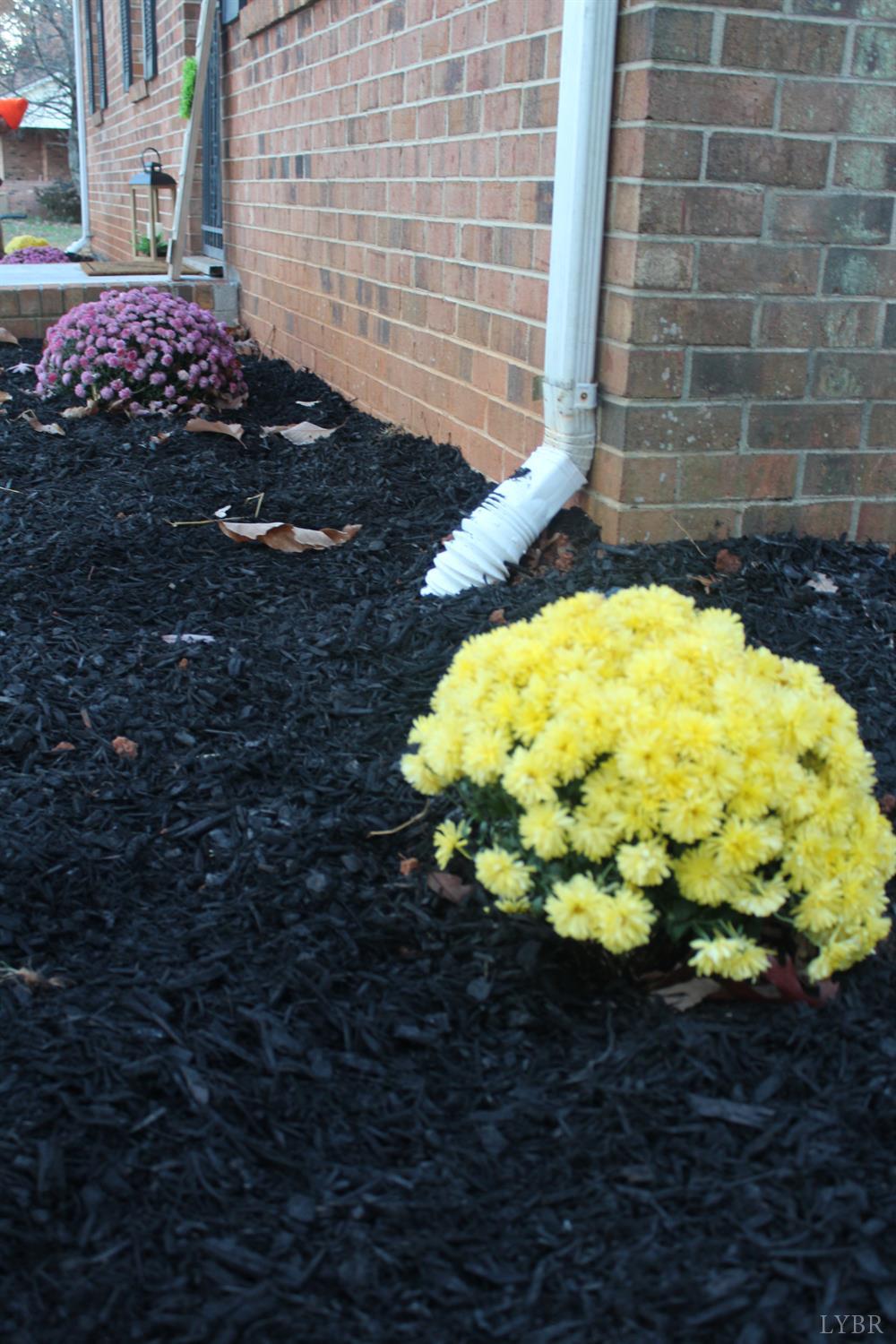 305 Eldon Road Appomattox, VA 24522 - Photo 8 of 24 a bunch of flowers with wooden floor
