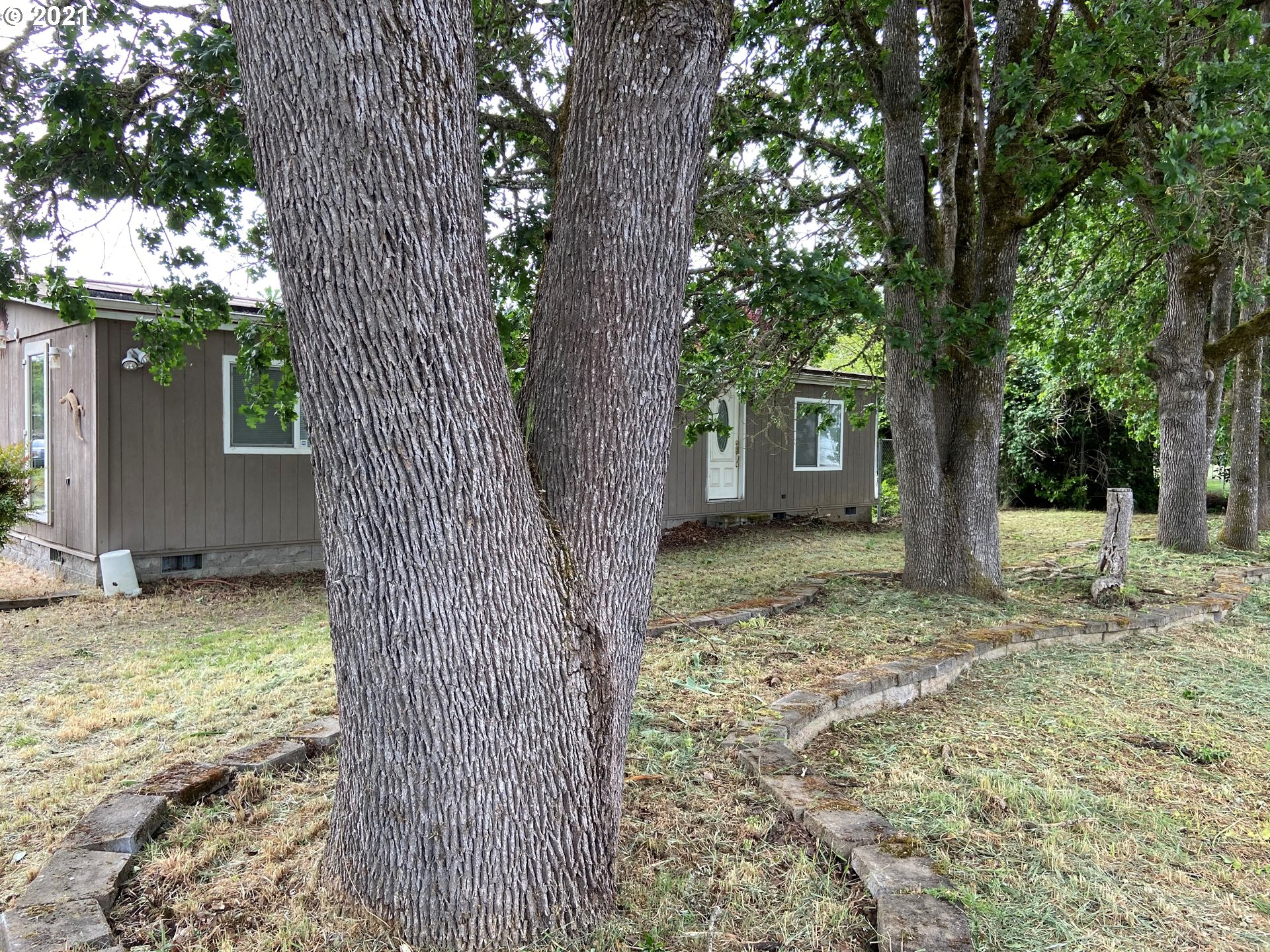 93724 Prairie Road Junction City, OR 97448 - Photo 1 of 21 Gallery Image 1