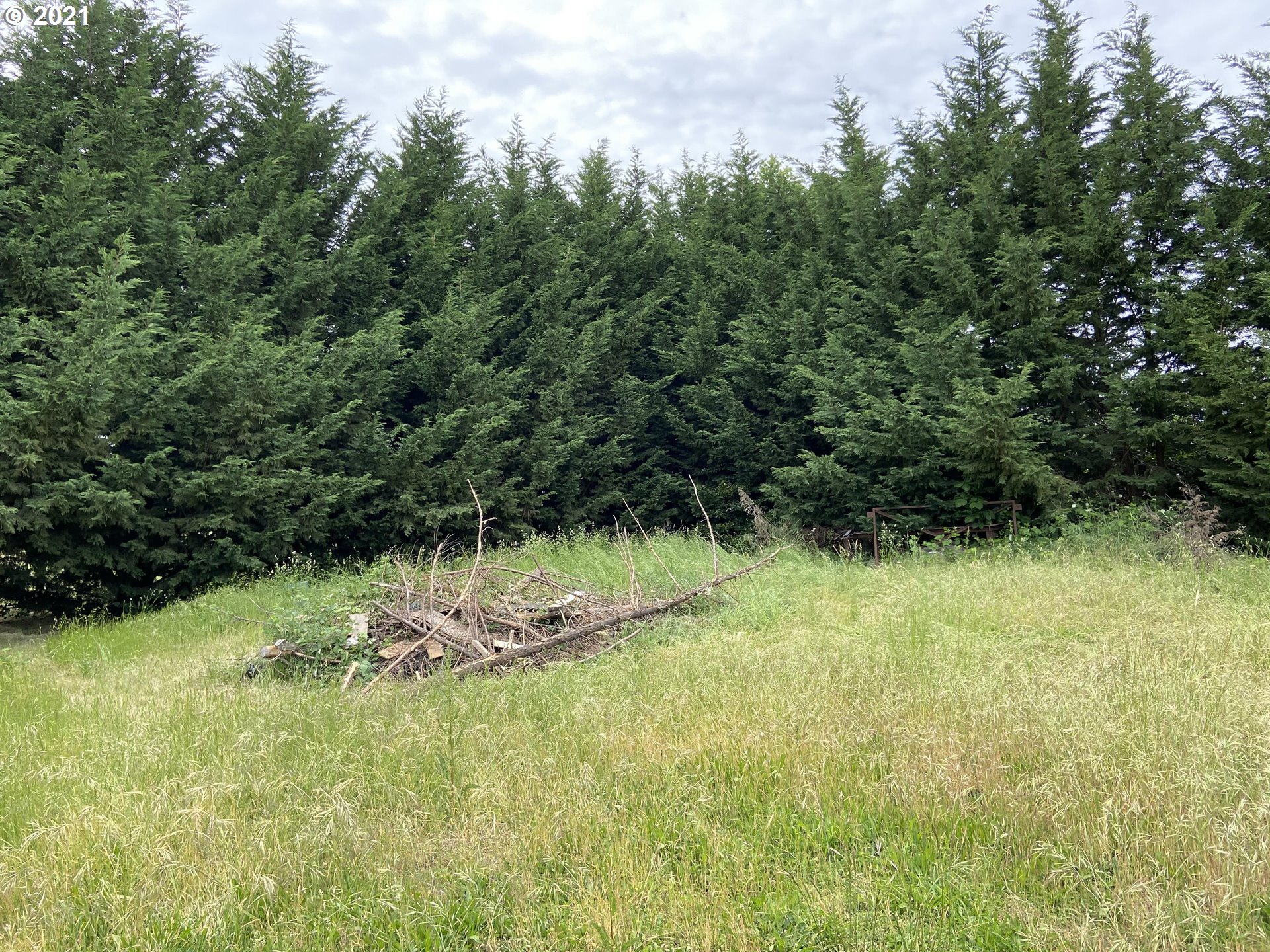 93724 Prairie Road Junction City, OR 97448 - Photo 11 of 21 Gallery Image 11