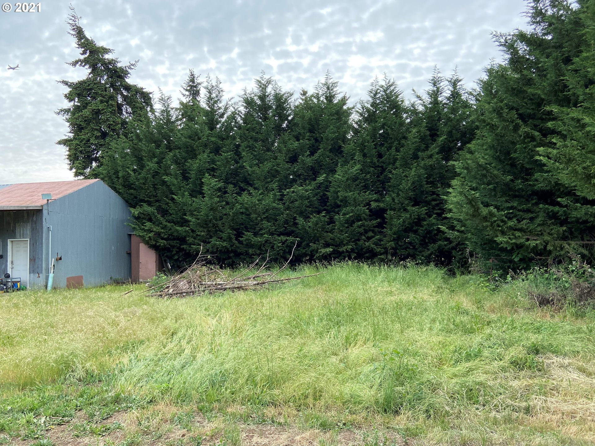 93724 Prairie Road Junction City, OR 97448 - Photo 12 of 21 Gallery Image 12