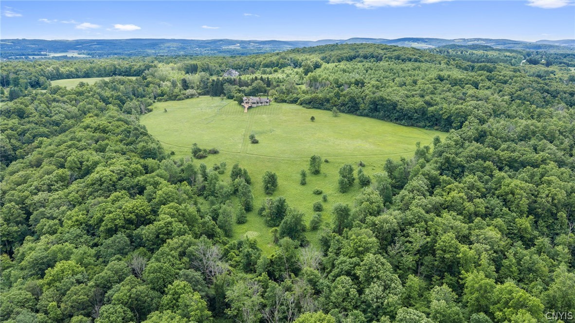 3845 Burlingame Road Cazenovia, NY 13035 - Photo 41 of 49