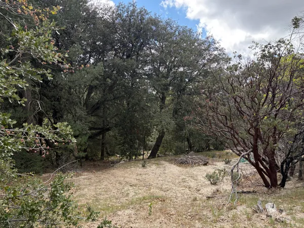 $84,000 | 0 Schaffer Dr. Drive, Idyllwild, CA 92549