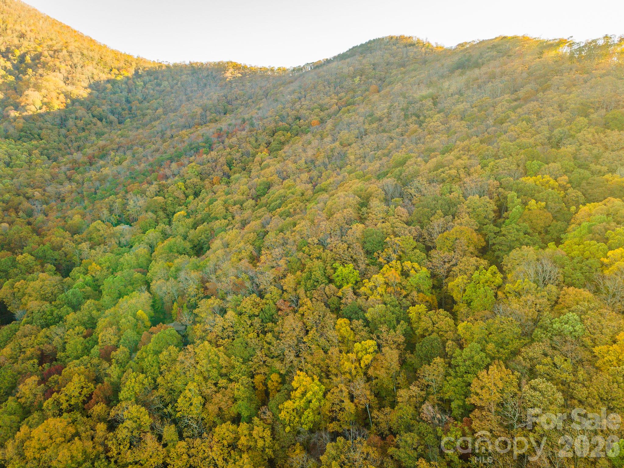 Tbd Summer Haven Road, Unit 16 Swannanoa, NC 28778 - Photo 40 of 45