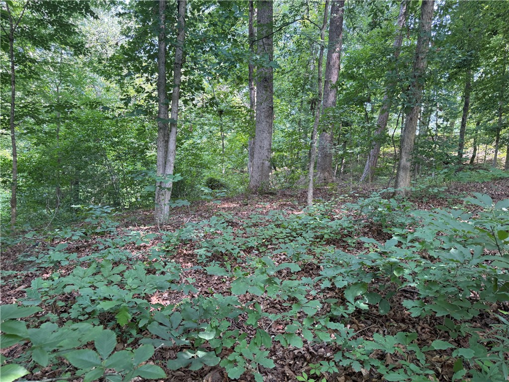 0 Fox Fire Road Central, SC 29630 - Photo 16 of 23