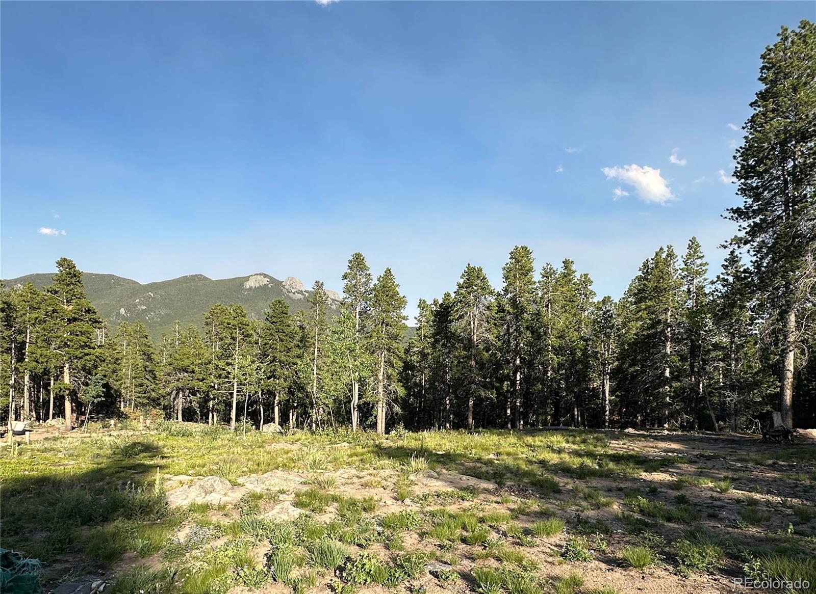 Mountain Meadows Black Hawk, CO 80422 - Photo 2 of 33