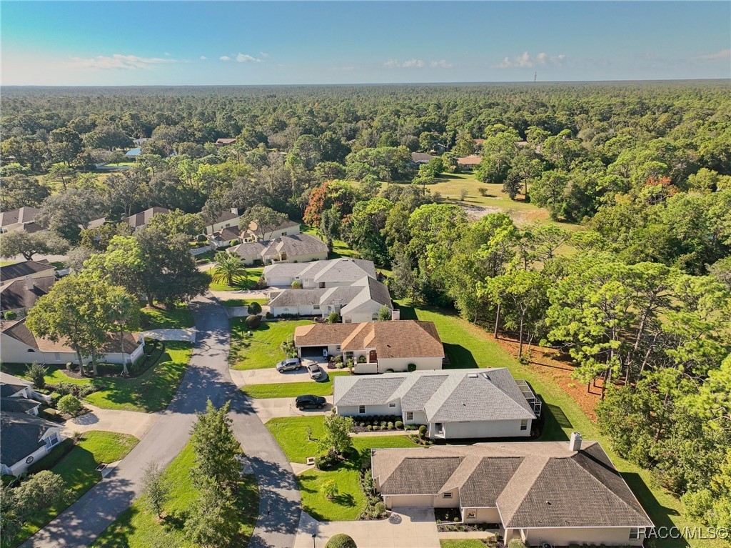 6 Byrsonima Loop Homosassa, FL 34446 - Photo 44 of 48 AERIAL VIEW HIGH UP SHOWING THE AREA