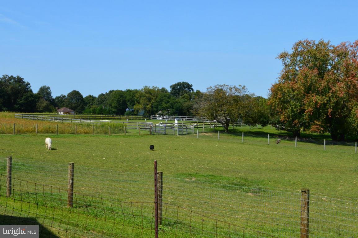 768 Centerville Road Lancaster, PA 17601 - Photo 3 of 32 Gallery Image 3