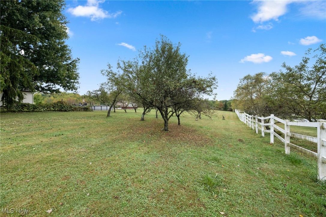 4170 Remsen Road Medina, OH 44256 - Photo 28 of 30 Beautiful Views