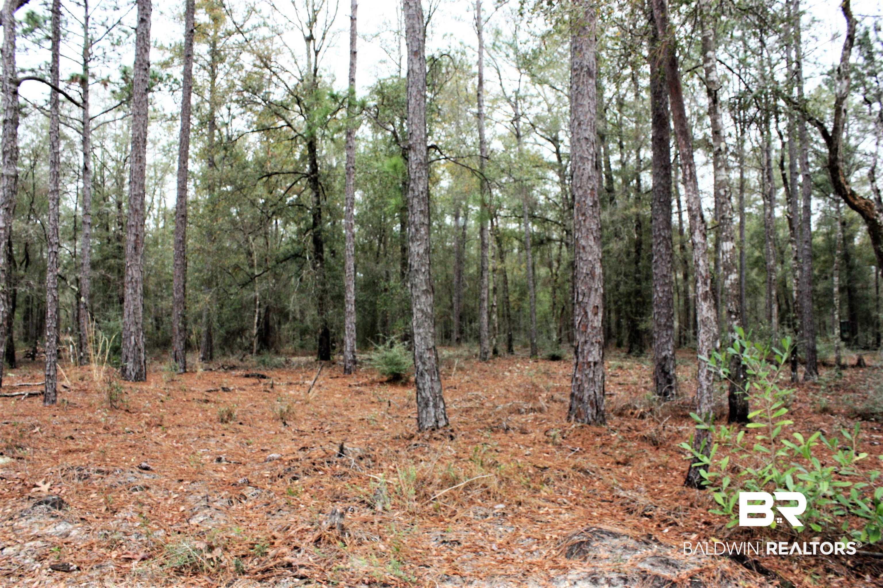 8190 B Dixon Road Bay Minette, AL 36507 - Photo 5 of 13