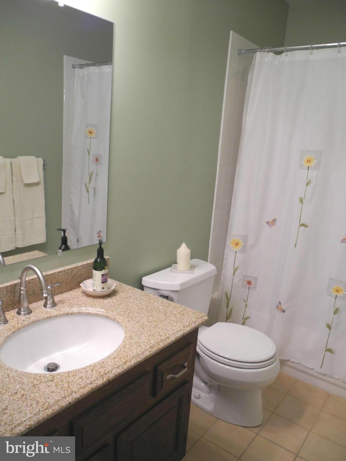 3223 Roderick Road Frederick, MD 21704 - Photo 16 of 30 Bath (Master)