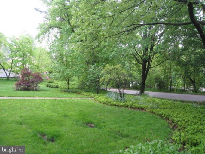 5305 Falls Rd Terrace Baltimore, MD 21210 - Photo 17 of 20 a view of a backyard with large trees