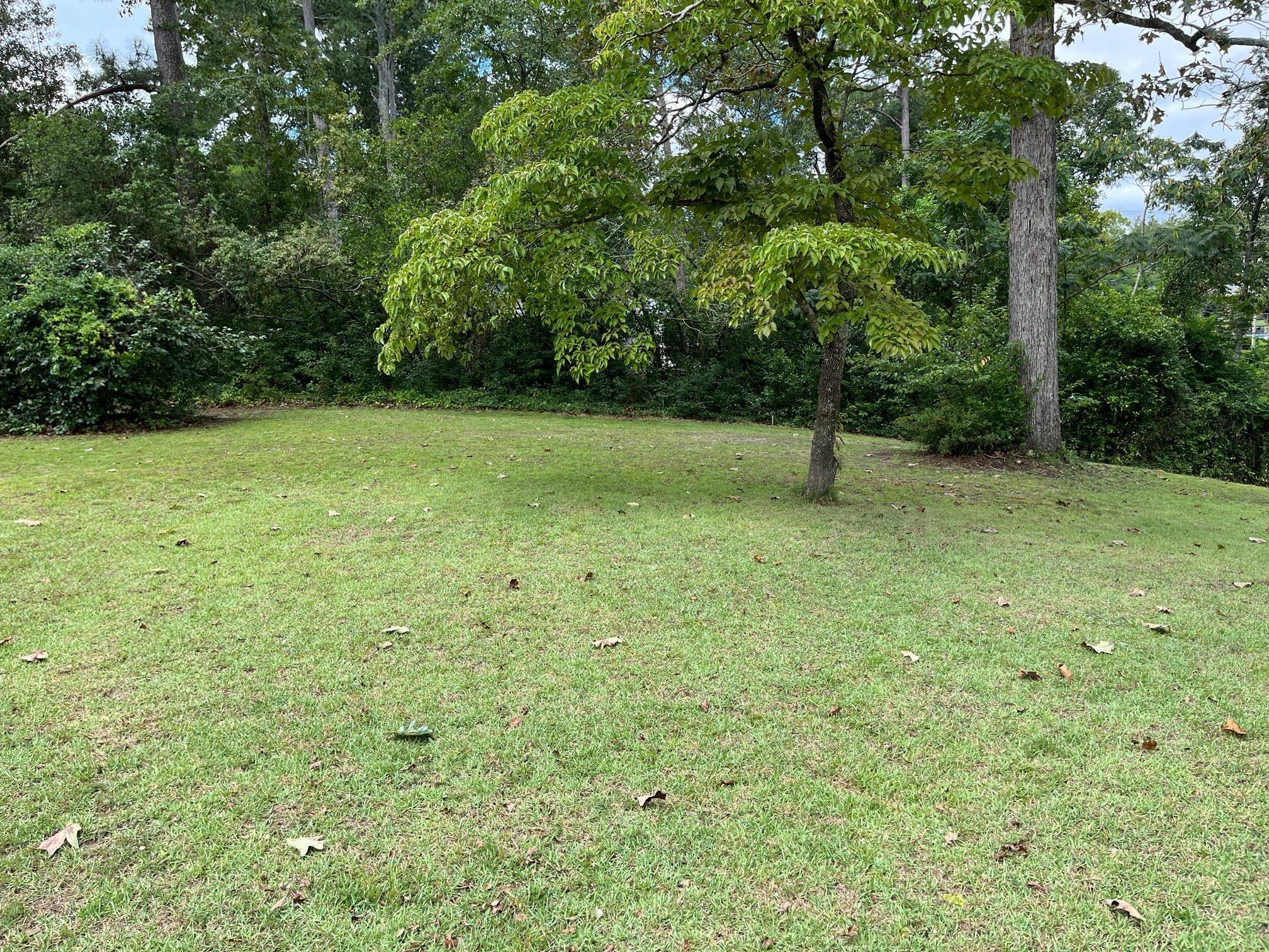 32 Coker Drive Aiken, SC 29803 - Photo 2 of 5 Natural Privacy