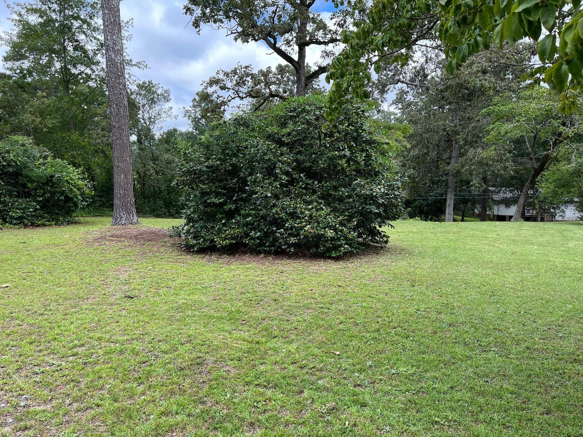 32 Coker Drive Aiken, SC 29803 - Photo 3 of 5 Natural Landscaping