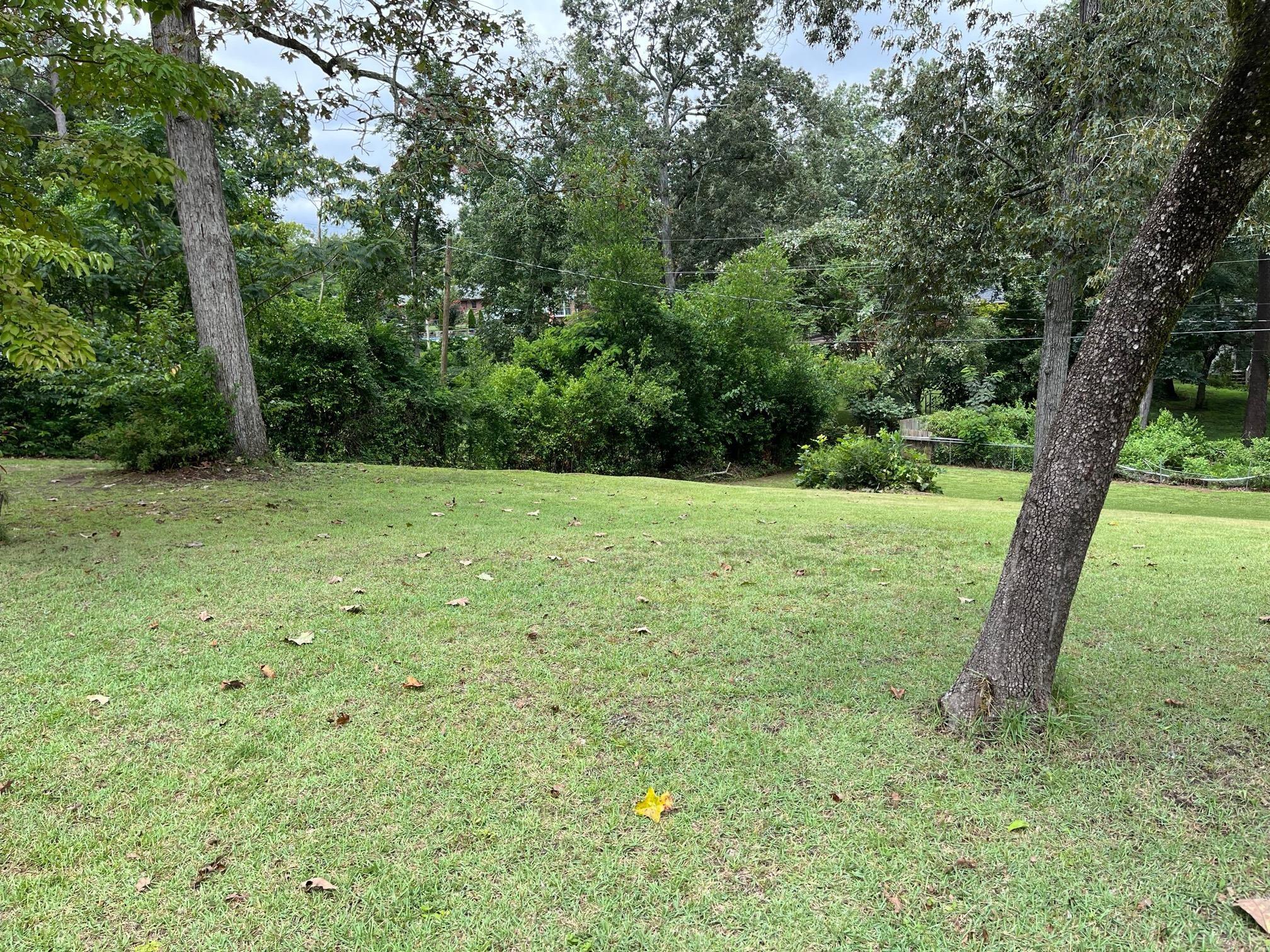 32 Coker Drive Aiken, SC 29803 - Photo 4 of 5 Few Trees