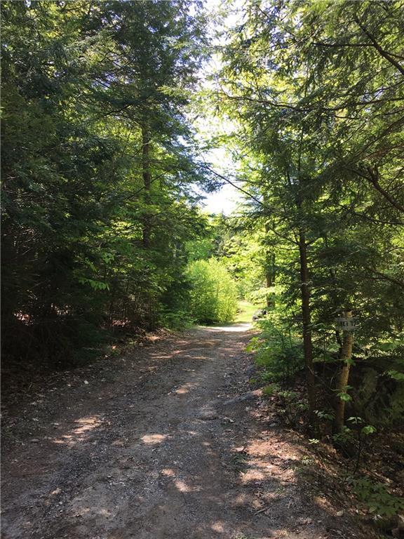 120 Brown Road Liberty, ME 04949 - Photo 26 of 34 Driveway