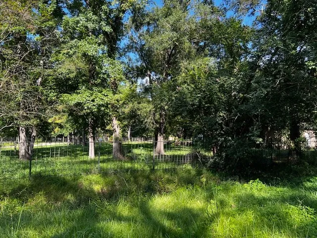 a big yard with lots of green space and plants