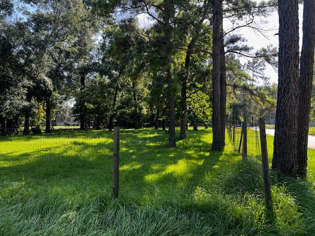 Tbd Half Circle Splendora, TX 77372 - Photo 4 of 5 a backyard of a house with lots of green space