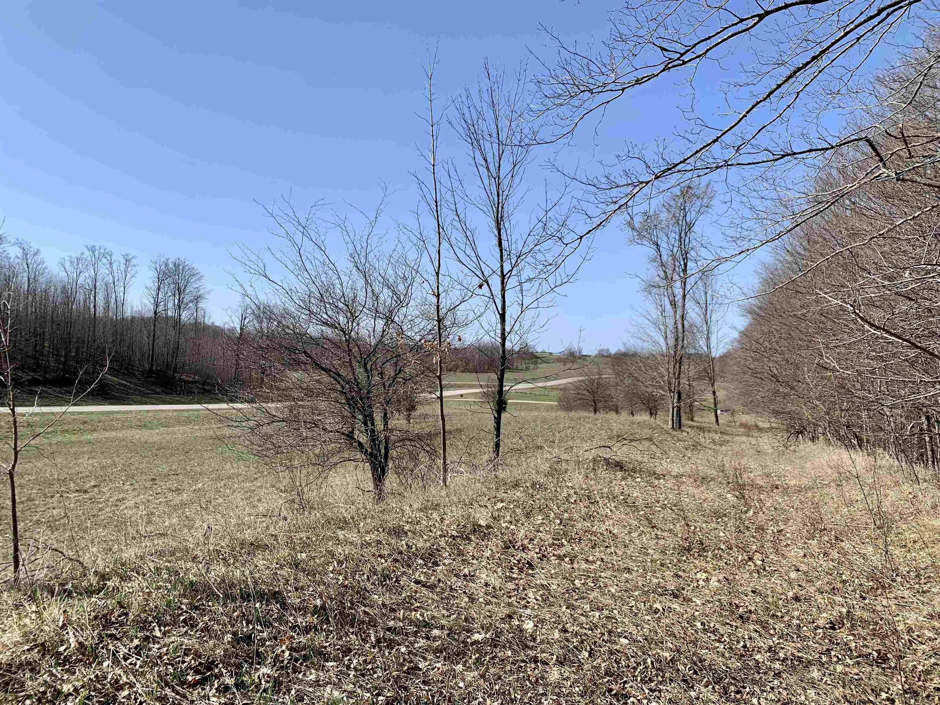 7835 Florey's Ranch Road Grawn, MI 49637 - Photo 7 of 9 1899065-6.JPG