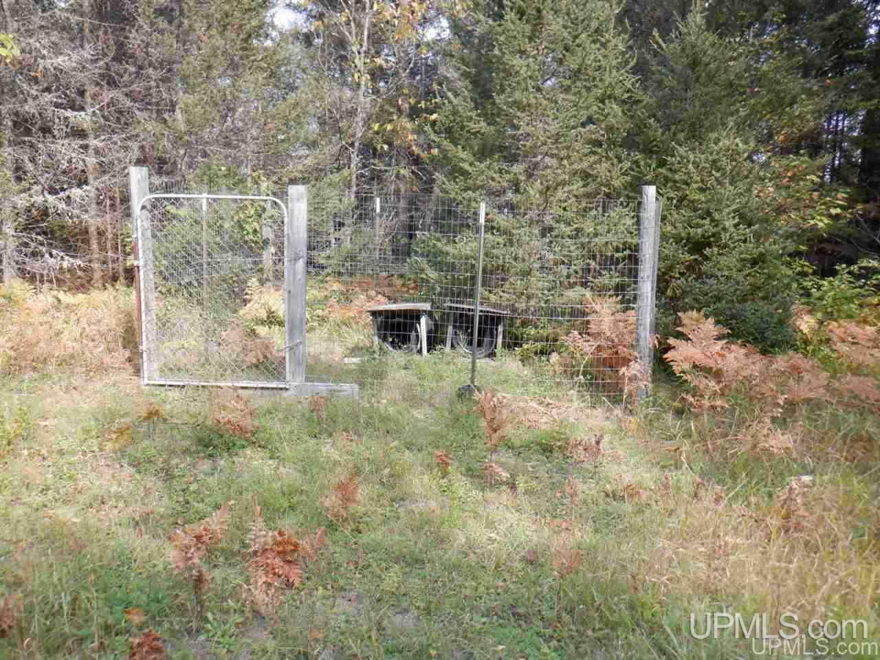 Tbd Bone Lake Road Amasa, MI 49903 - Photo 28 of 29