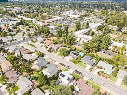 aerial view of a house with swimming pool and large trees