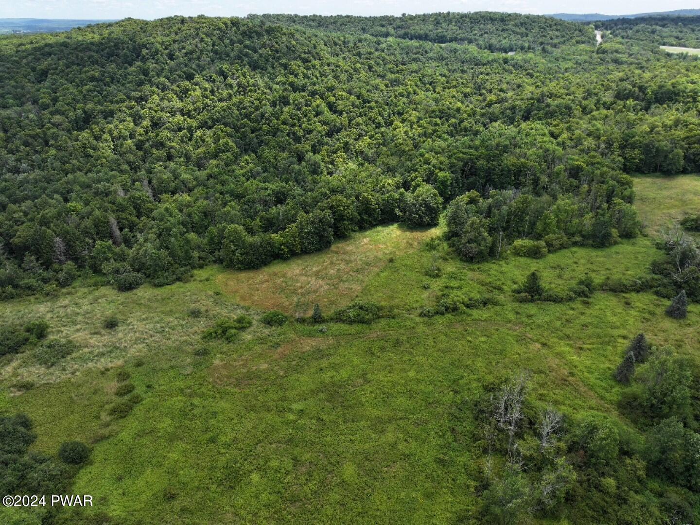 266 Neville Road Moscow, PA 18444 - Photo 3 of 30 a view of a field of grass and trees