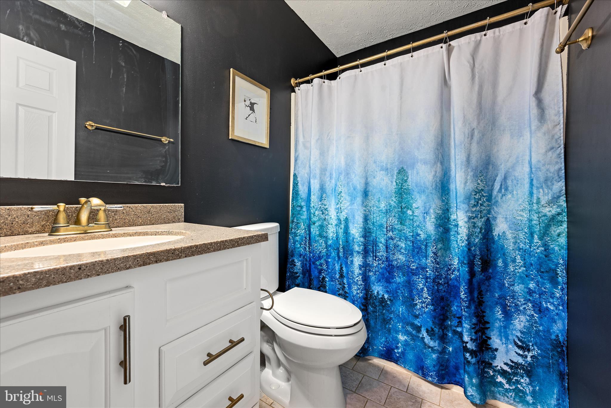 157 Woodthrush Way Linden, VA 22642 - Photo 30 of 38 Bathroom