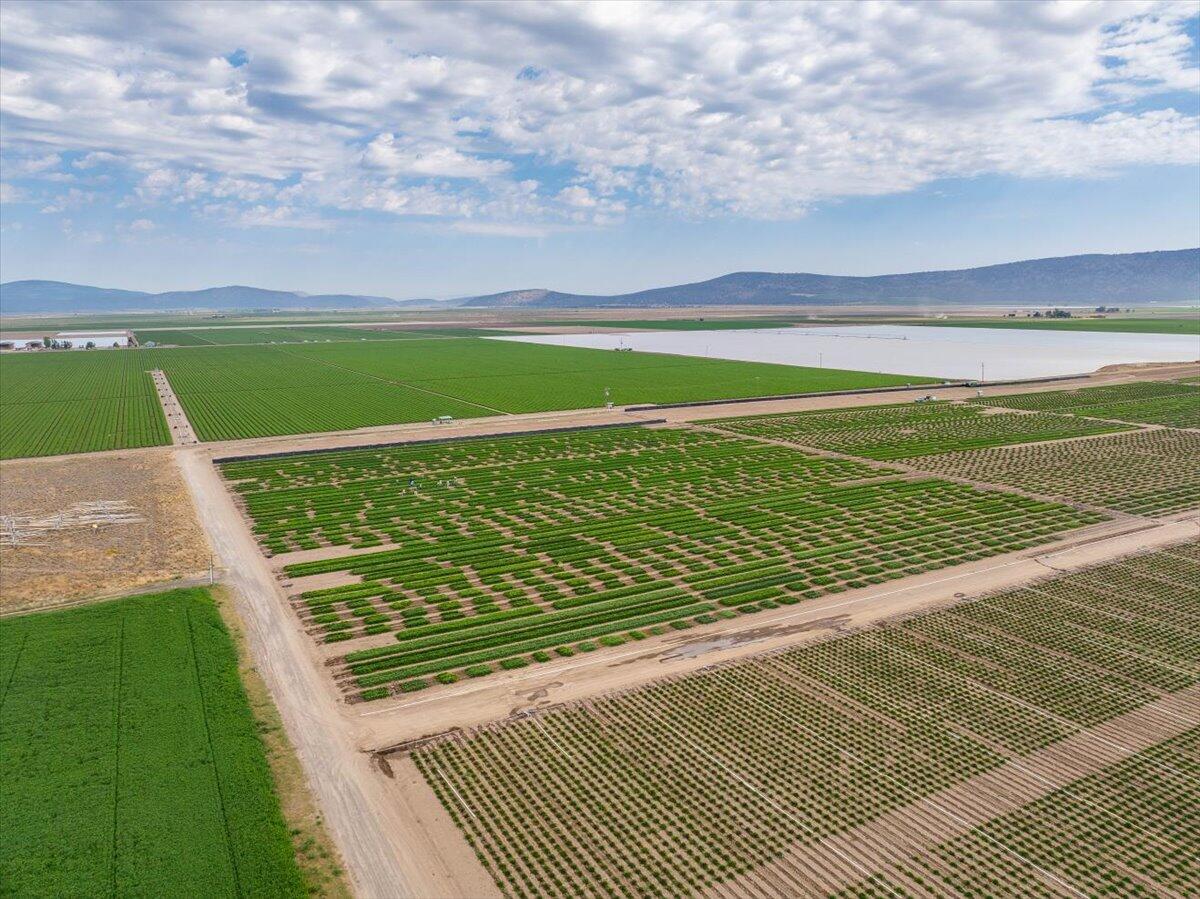 2935 Sheep Mountain Road Macdoel, CA 96058 - Photo 51 of 137 007-Macdoel Hay Ranch - E-7