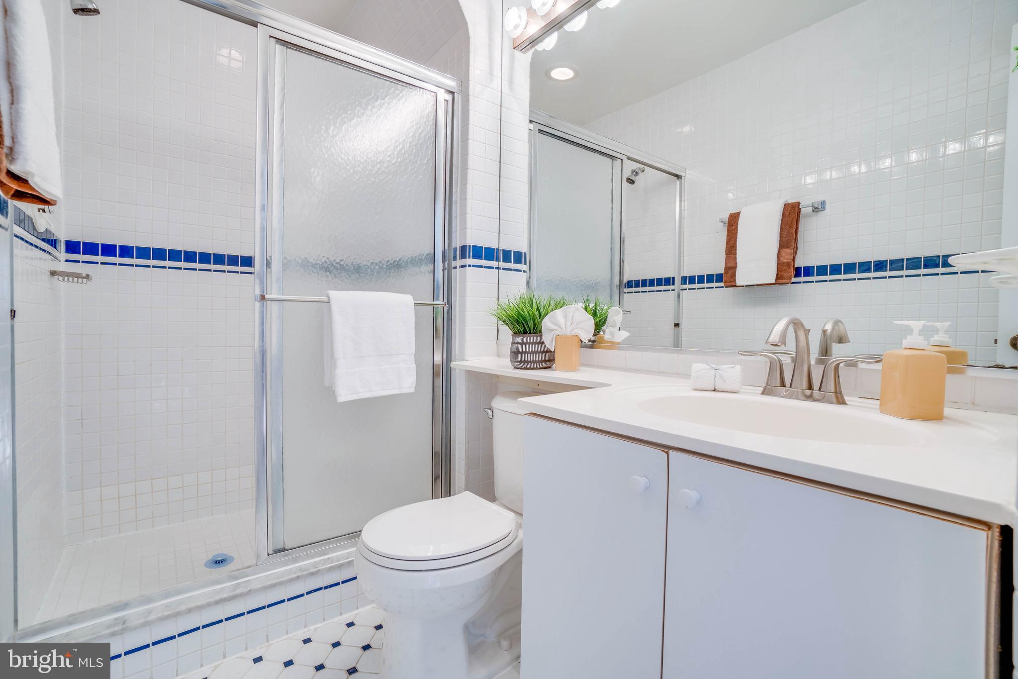 8007 Inverness Ridge Road Potomac, MD 20854 - Photo 14 of 33 Master Bathroom