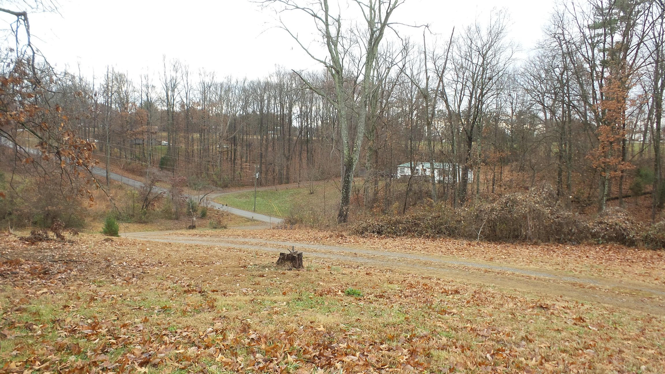 1765 McGhee Road Greenback, TN 37742 - Photo 16 of 18 20141203_063856