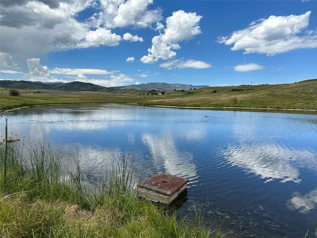 a view of a lake from a yard