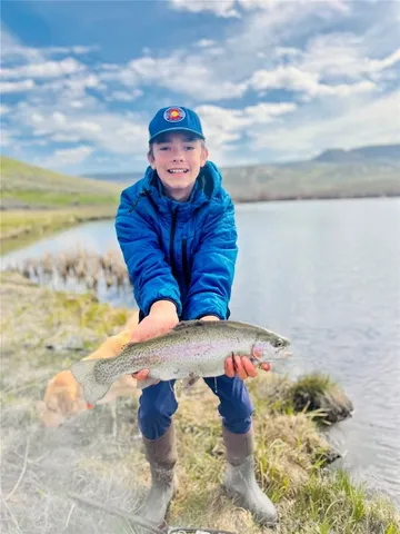 a view of terrace with seating space