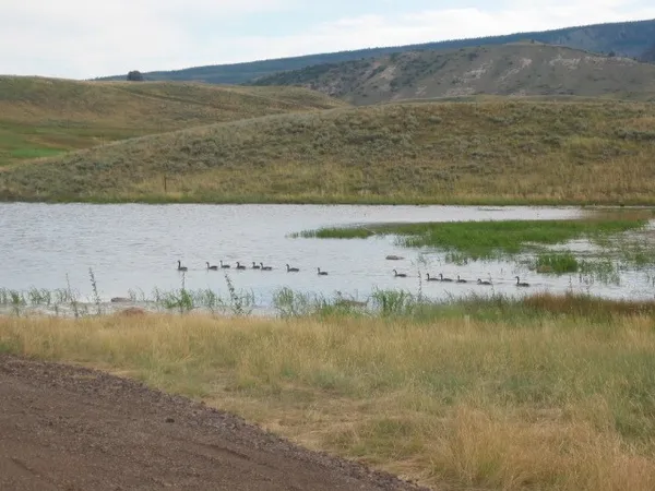 a view of a lake with a mountain