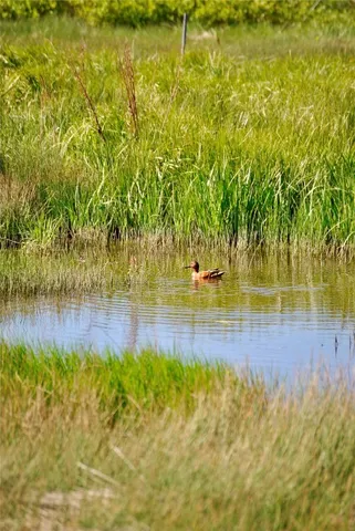 a view of a lake view with a big yard