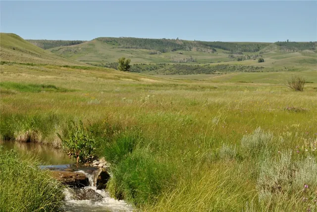 a view of lake with green space