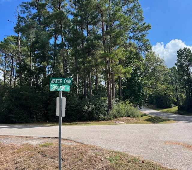 116 Water Oak Livingston, TX 77351 - Photo 2 of 9 a street sign on a sidewalk next to a road