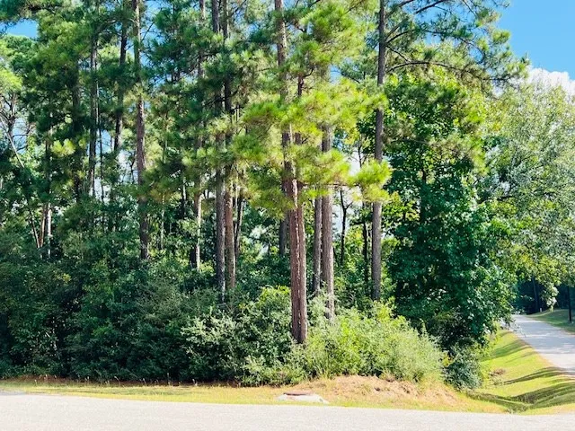 $11,000 | 116 Water Oak, Livingston, TX 77351