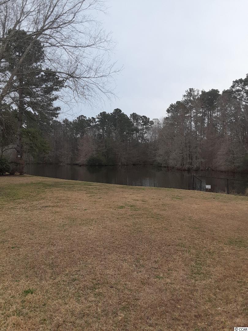 688 Julian Street Georgetown, SC 29440 - Photo 5 of 22 Gallery Image 5