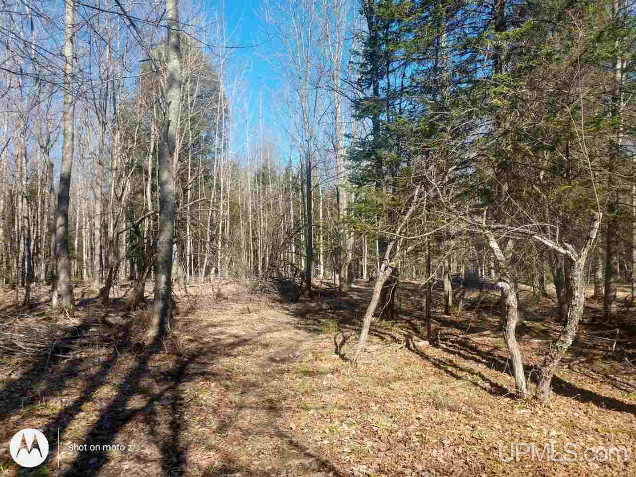 12446 Lucas Road Skanee, MI 49962 - Photo 45 of 58 Gallery Image 45