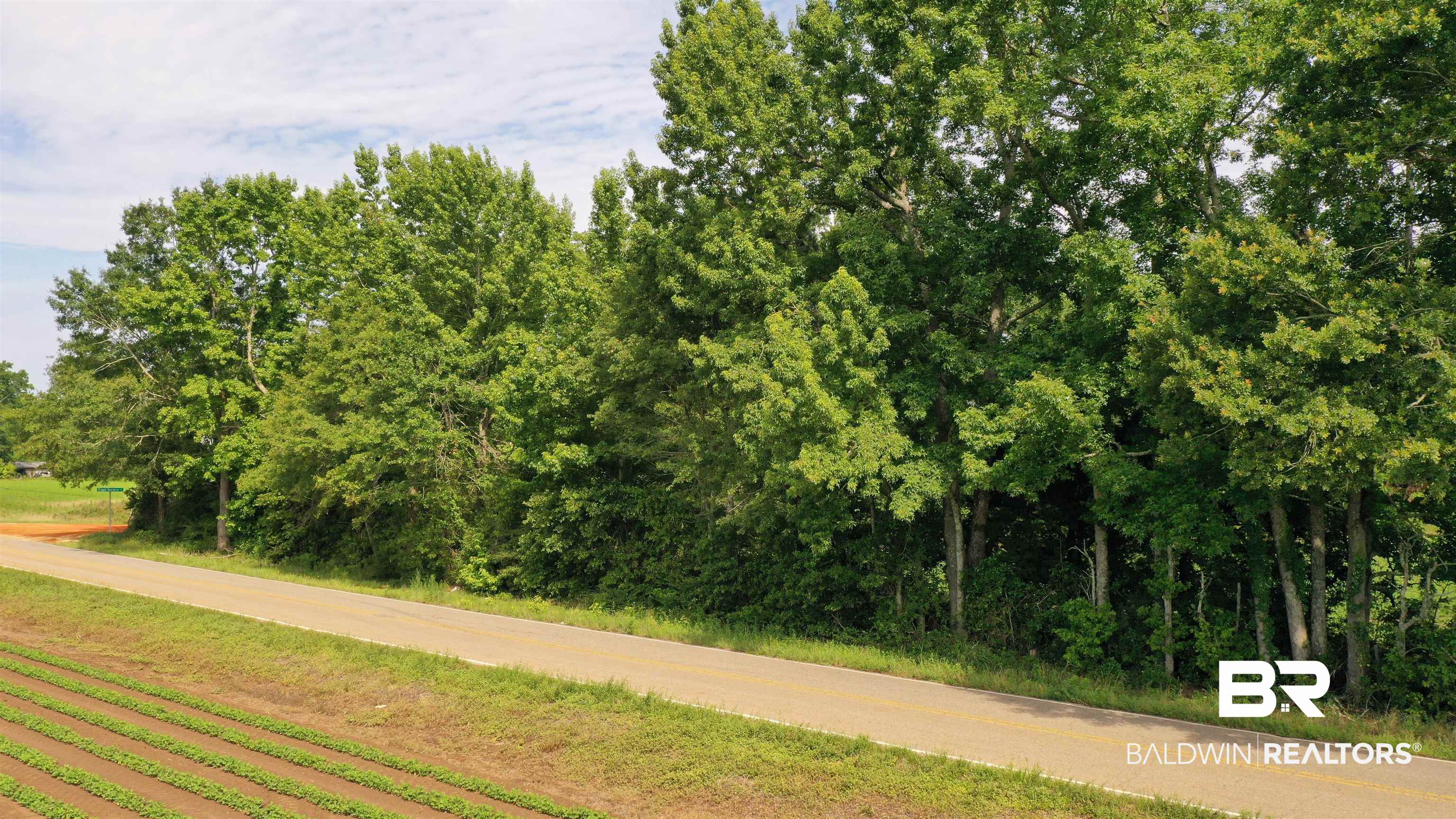 6 Travis Road Brewton, AL 36426 - Photo 4 of 22