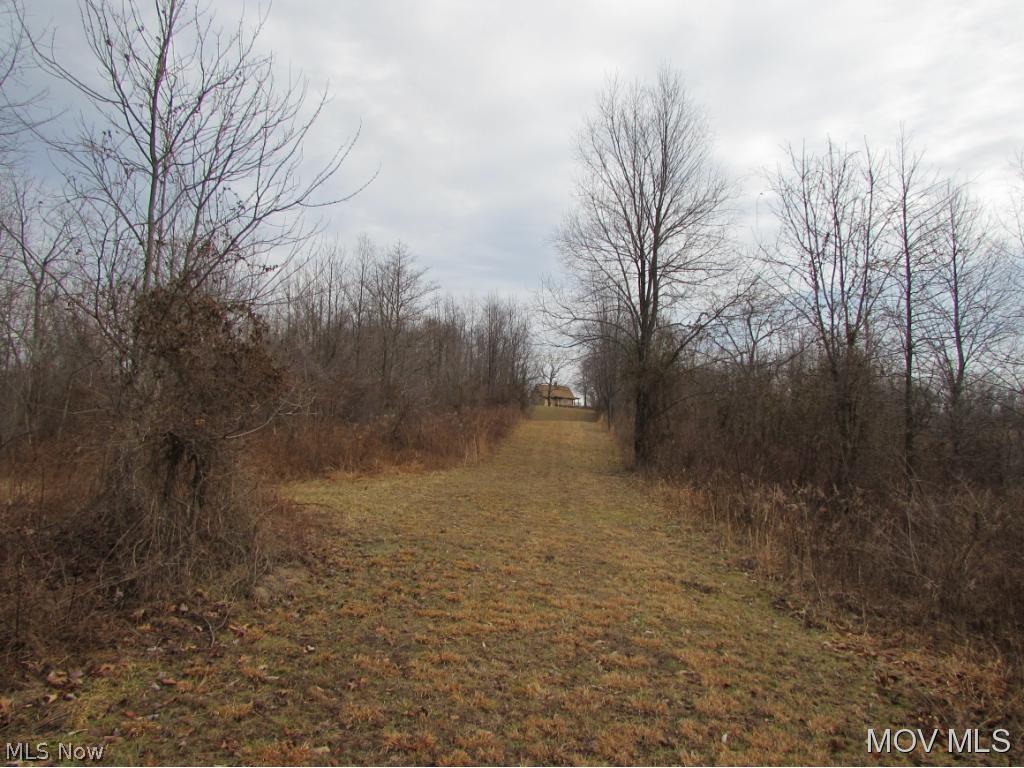 6945 Tabor Ridge Road Stockport, OH 43787 - Photo 20 of 22 Trail