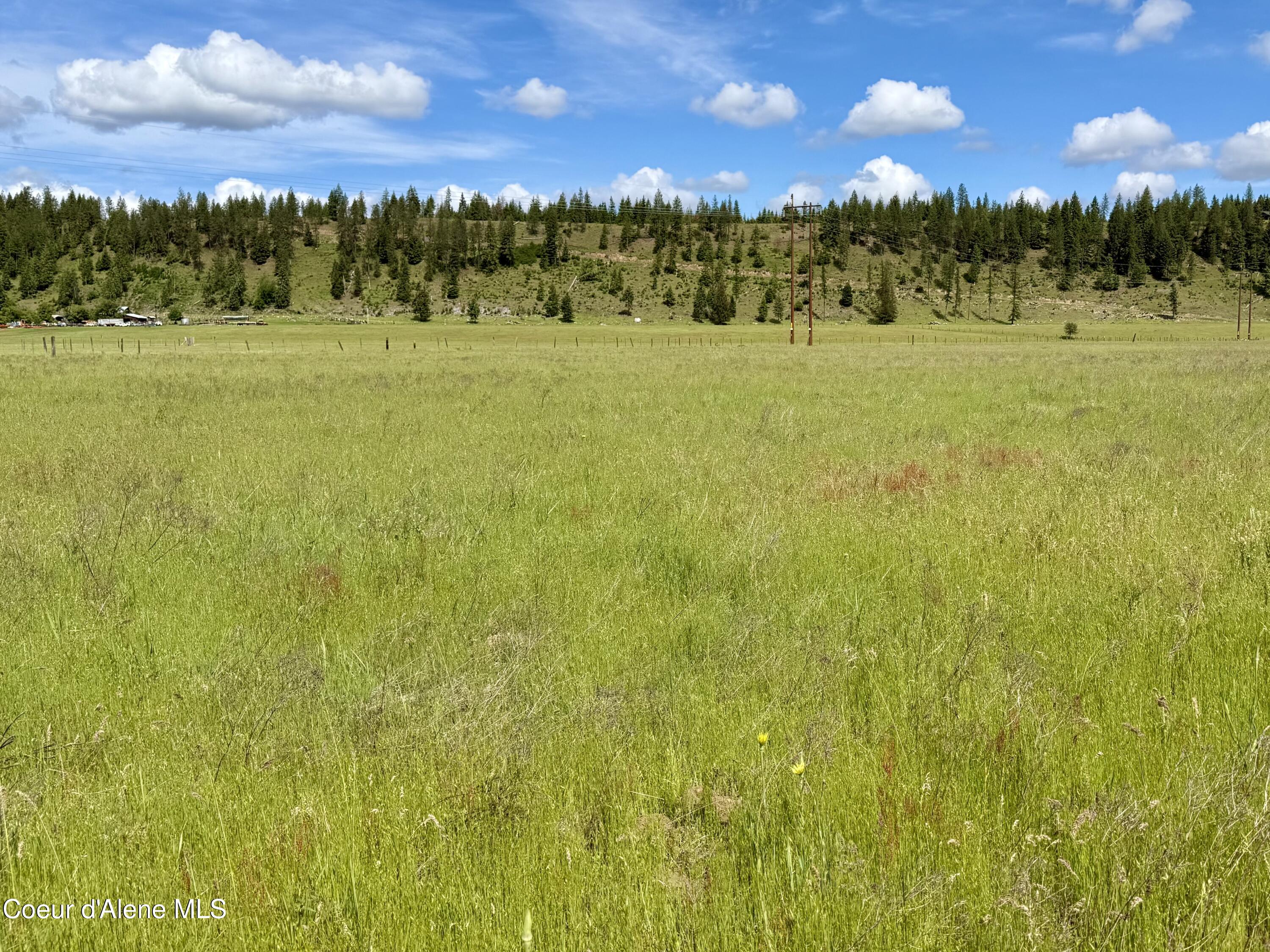 Lot 6 North Stonemason Way Rathdrum, ID 83858 - Photo 2 of 6 5 acres to personalize and make yours.