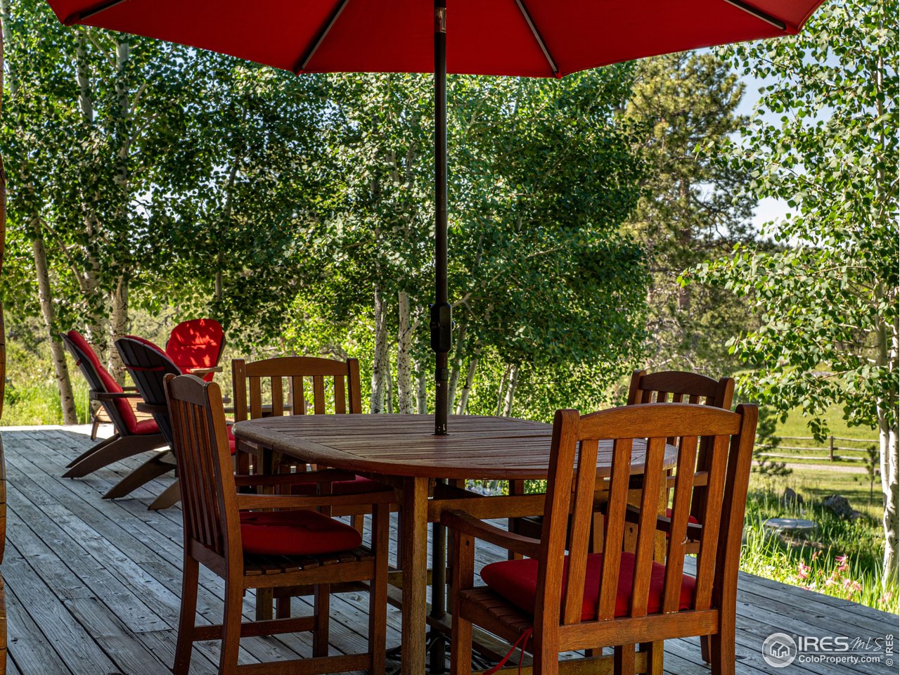 316 Two Bears Road Livermore, CO 80536 - Photo 23 of 39 Gallery Image 23