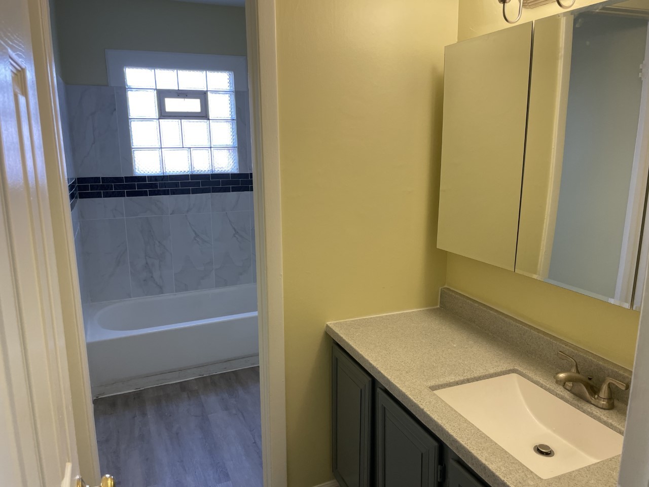 6830 Valley View Road Hanover Park, IL 60133 - Photo 9 of 14 a bathroom with a sink and a bathtub