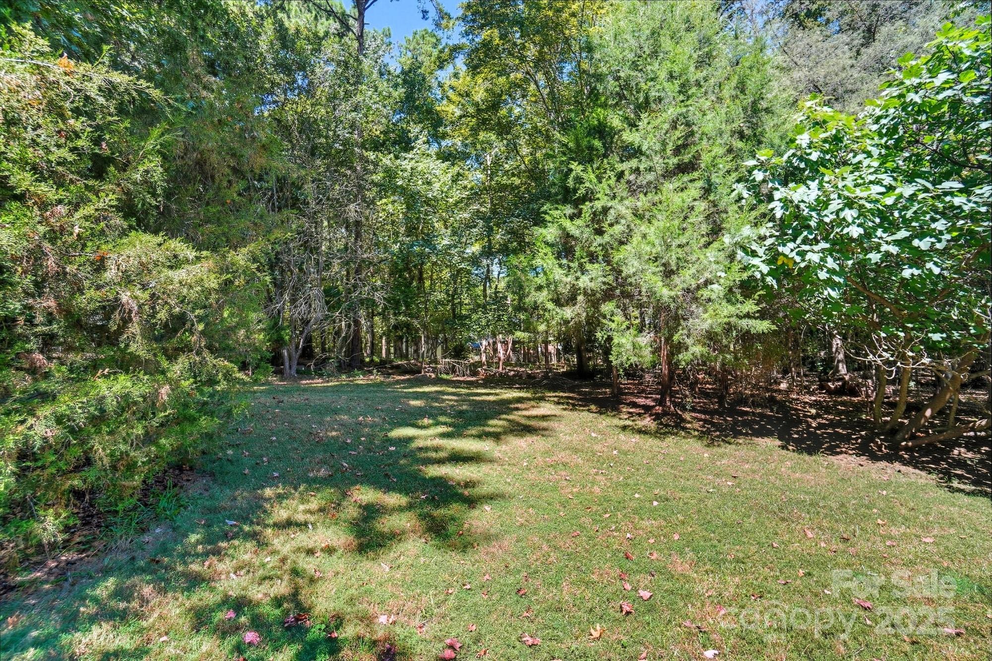 803 Victorian Lane Monroe, NC 28112 - Photo 43 of 46 a view of a tree in the middle of a yard