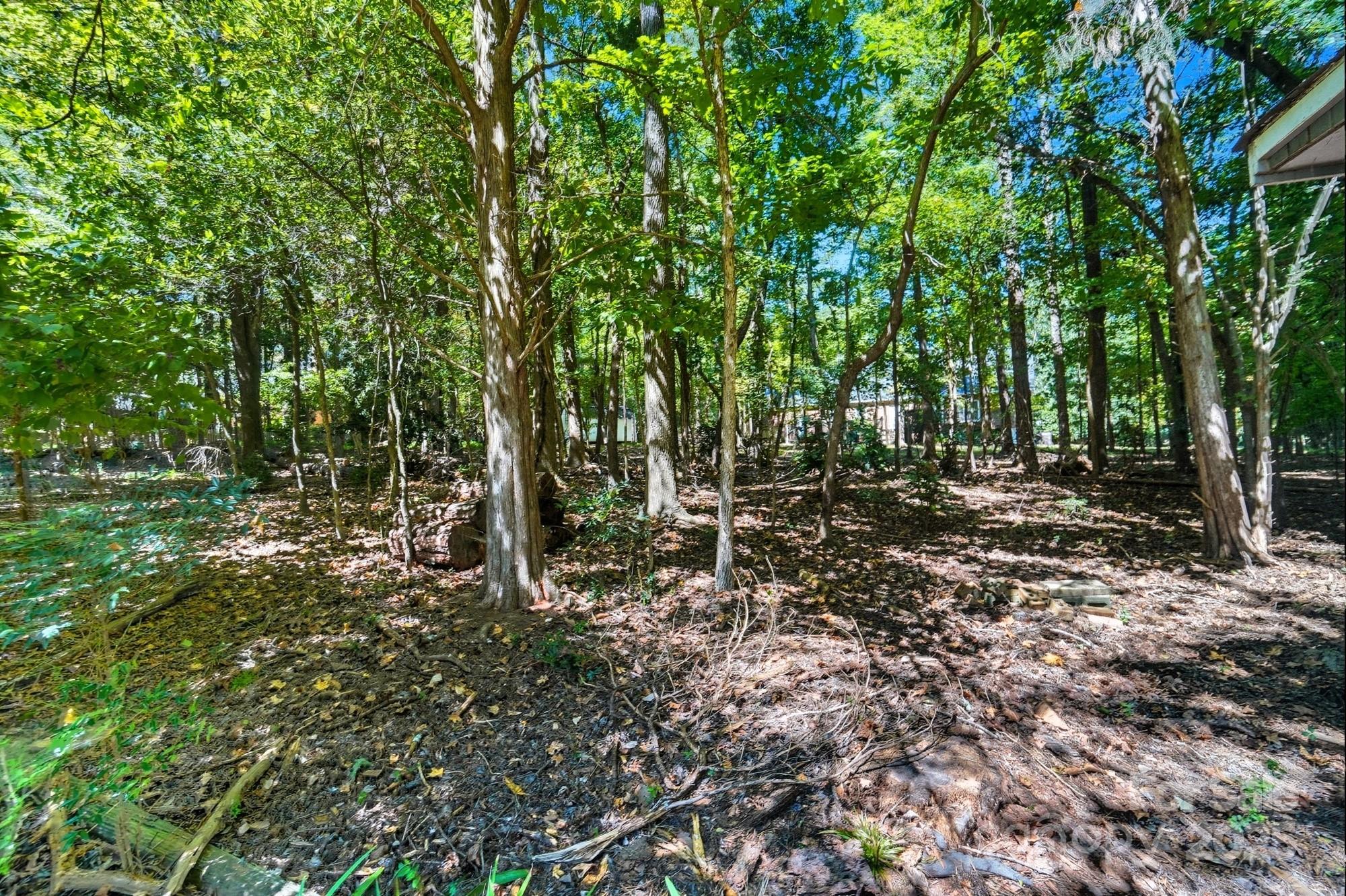 803 Victorian Lane Monroe, NC 28112 - Photo 46 of 46 a view of outdoor space with trees