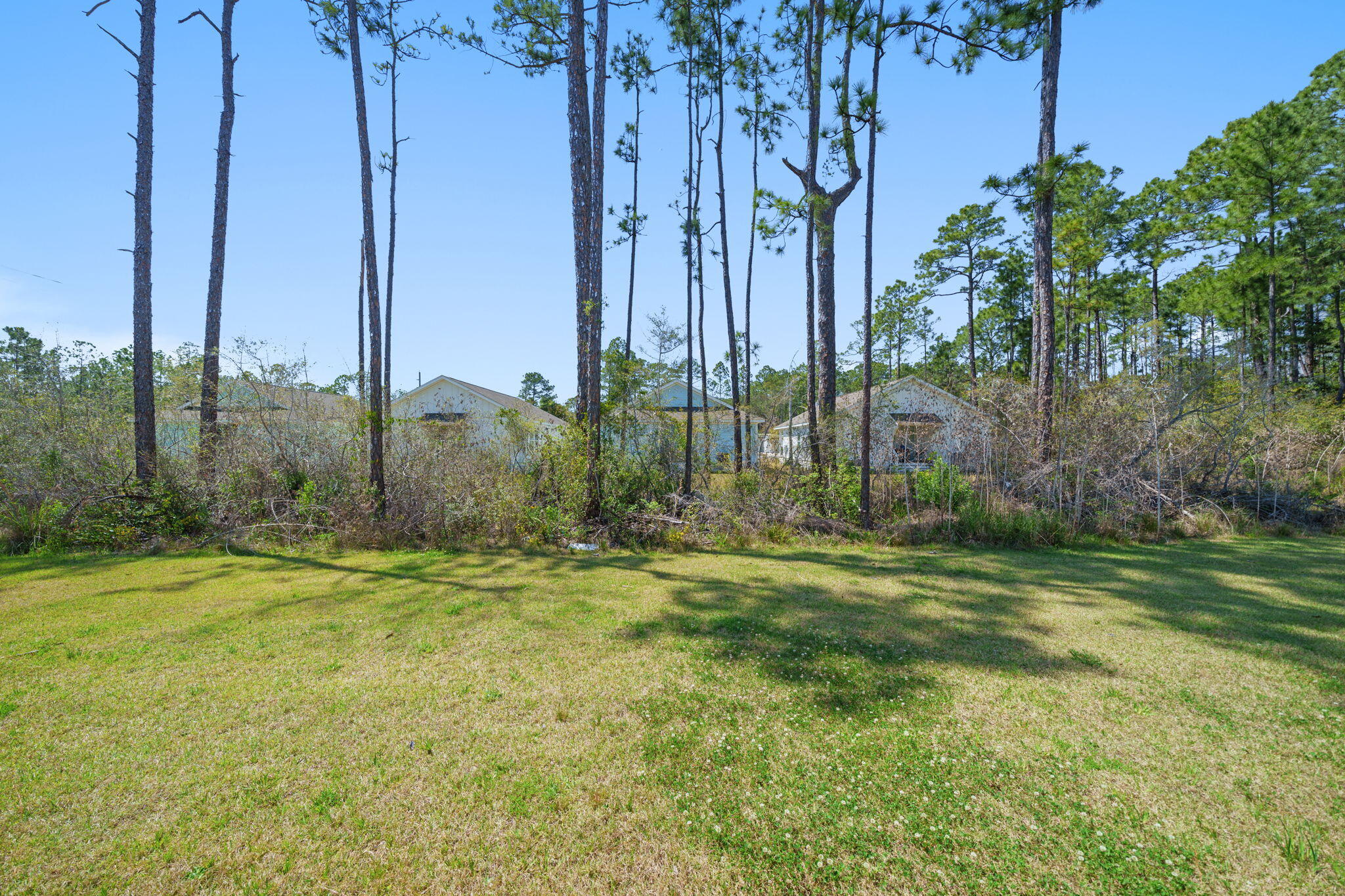 25 Indian Woman Road Santa Rosa Beach, FL 32459 - Photo 29 of 40 Back Yard